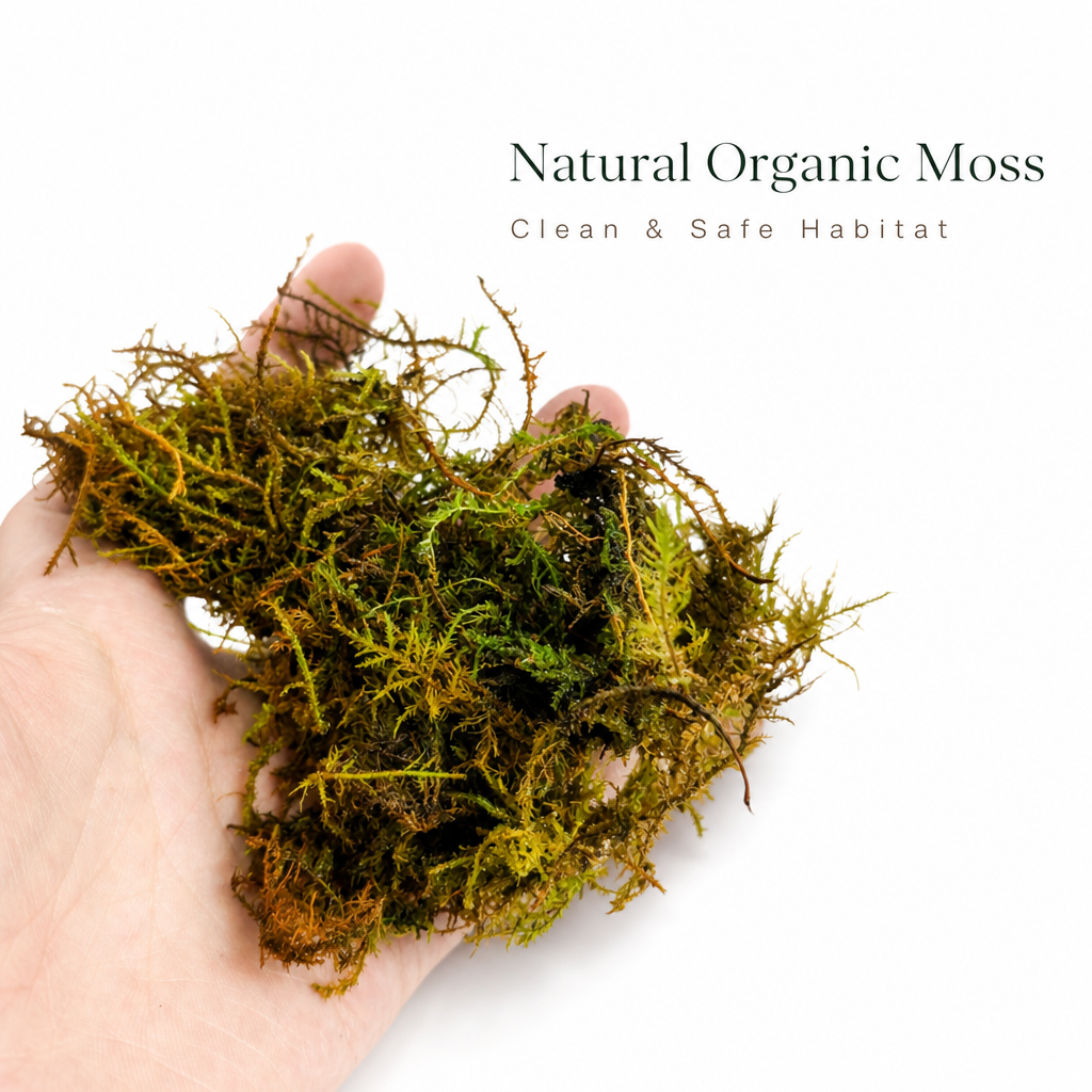 HERPETO Premium Fine Moss for Tropical Reptiles & Amphibians