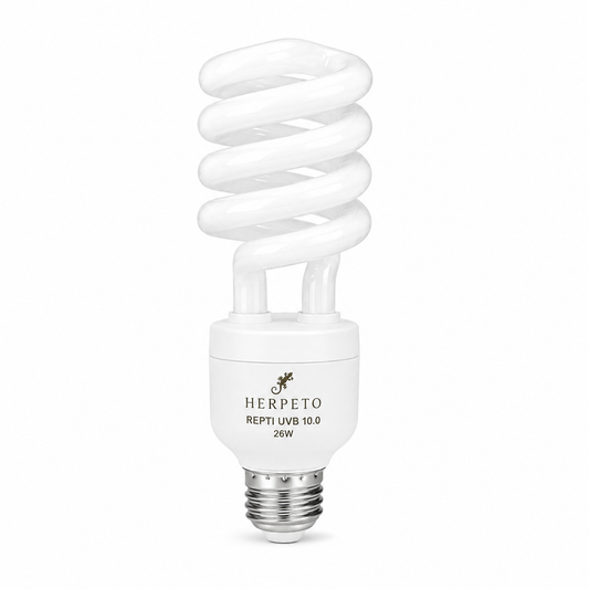 HERPETO UVB Spiral Bulb | Reptile Lighting
