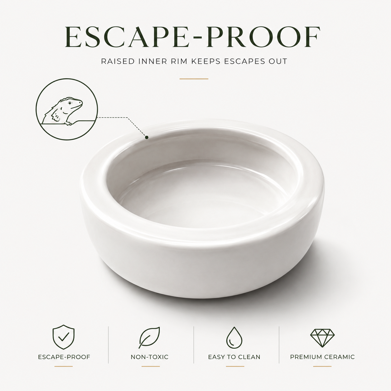 HERPETO Ceramic Feeding Dish for Reptiles & Amphibians